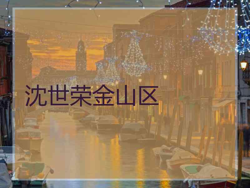 沈世荣金山区