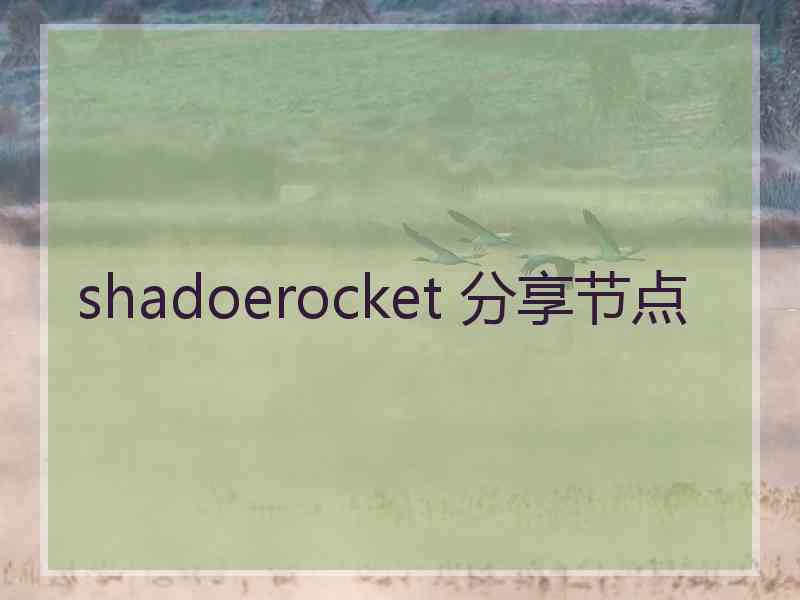 shadoerocket 分享节点