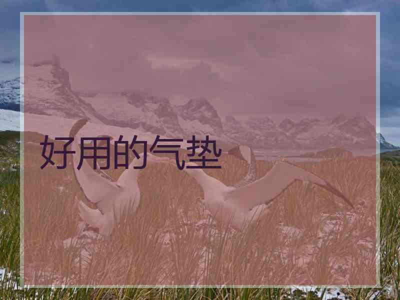 好用的气垫