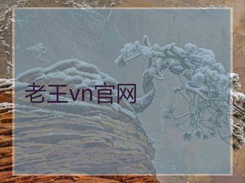 老王vn官网