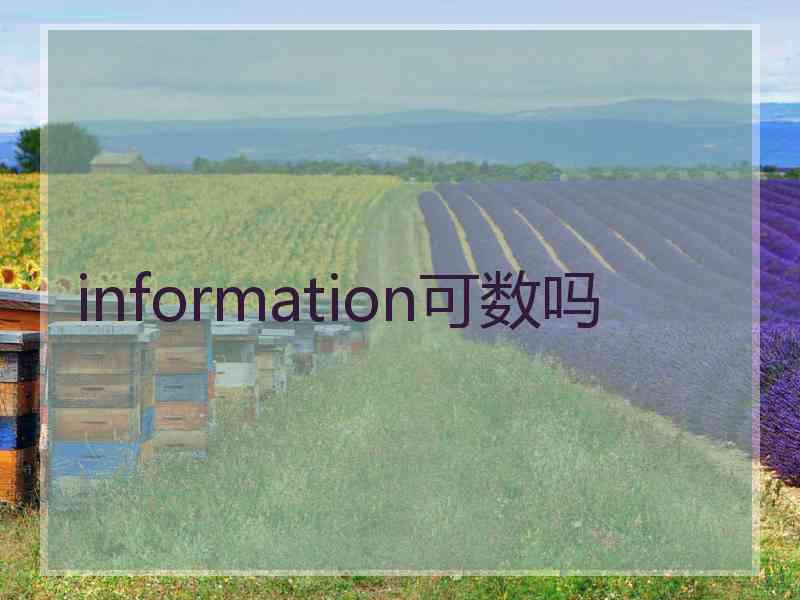 information可数吗