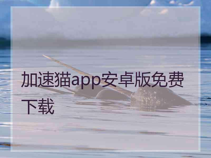 加速猫app安卓版免费下载