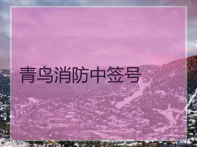 青鸟消防中签号