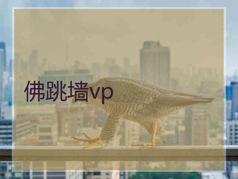 佛跳墙vp