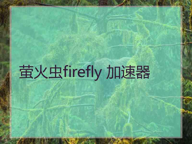 萤火虫firefly 加速器