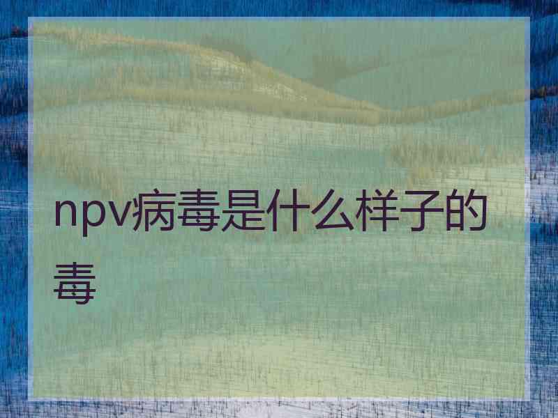 npv病毒是什么样子的毒