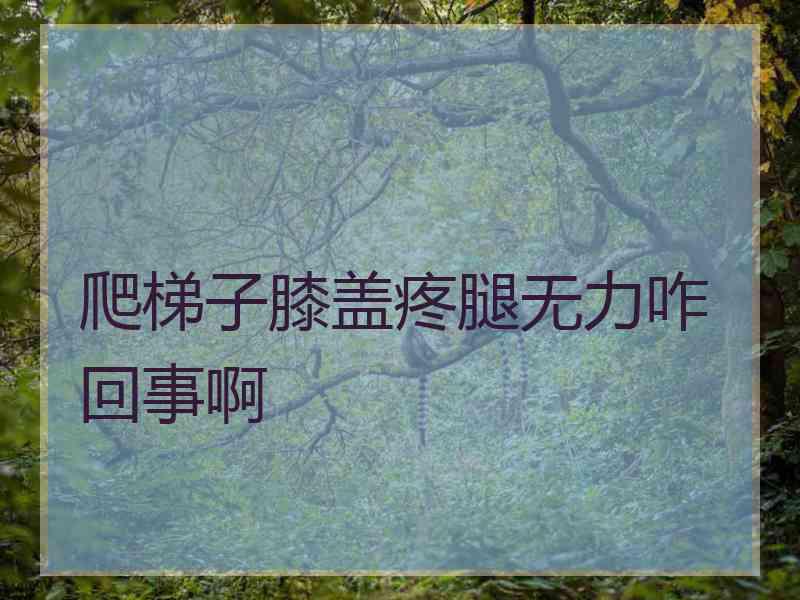 爬梯子膝盖疼腿无力咋回事啊