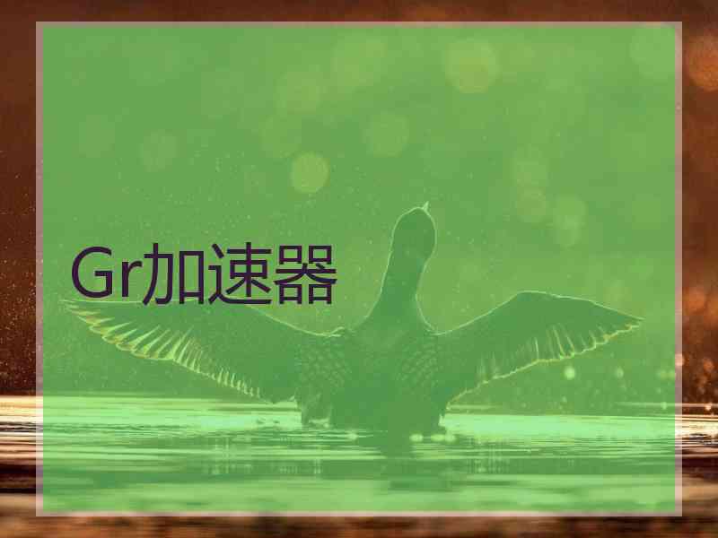 Gr加速器