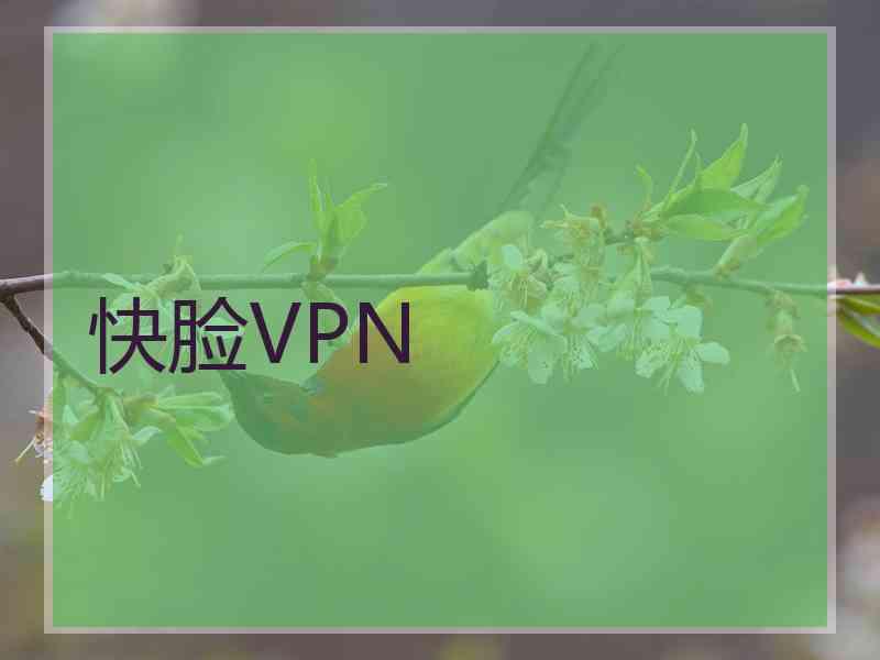 快脸VPN