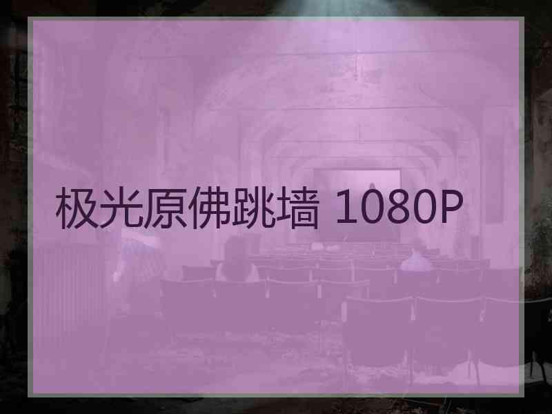 极光原佛跳墙 1080P