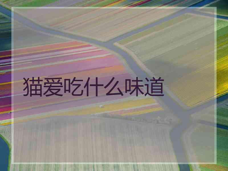 猫爱吃什么味道