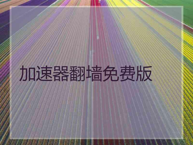 加速器翻墙免费版