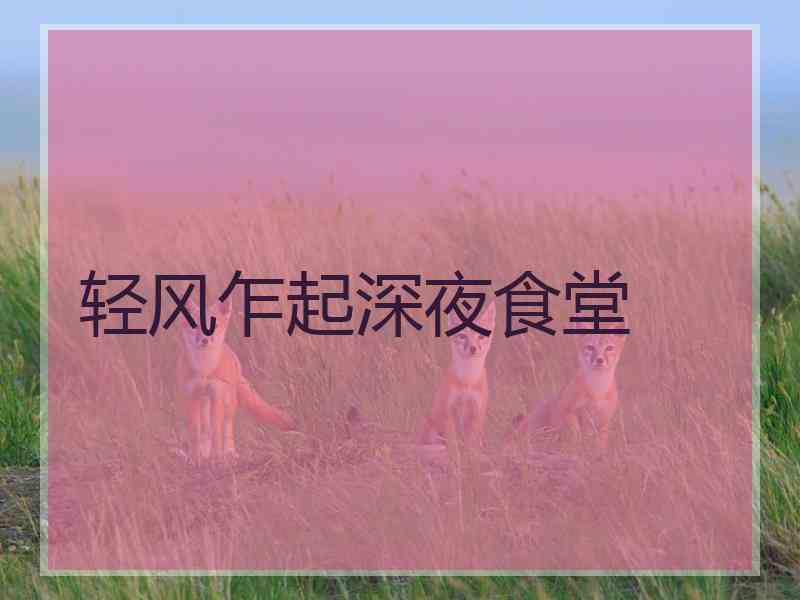 轻风乍起深夜食堂