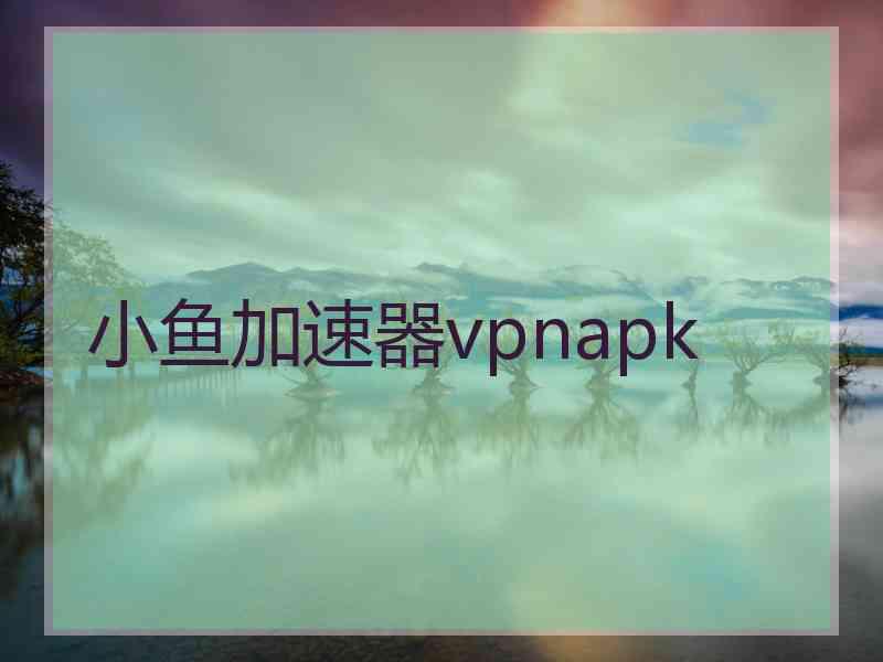 小鱼加速器vpnapk