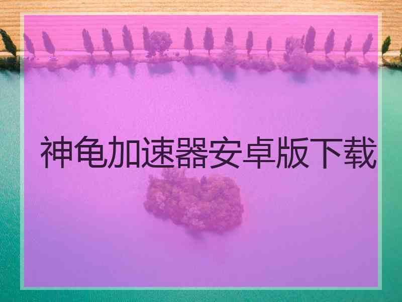 神龟加速器安卓版下载