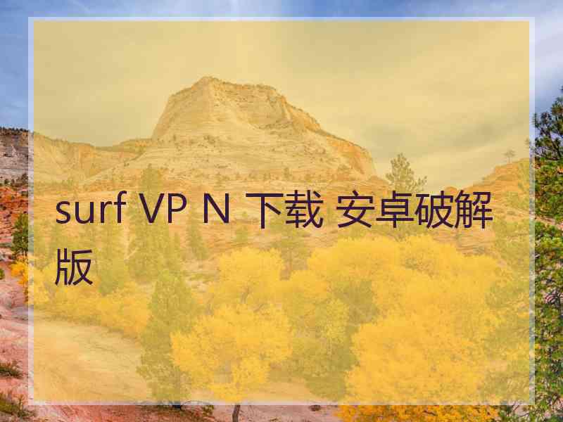 surf VP N 下载 安卓破解版