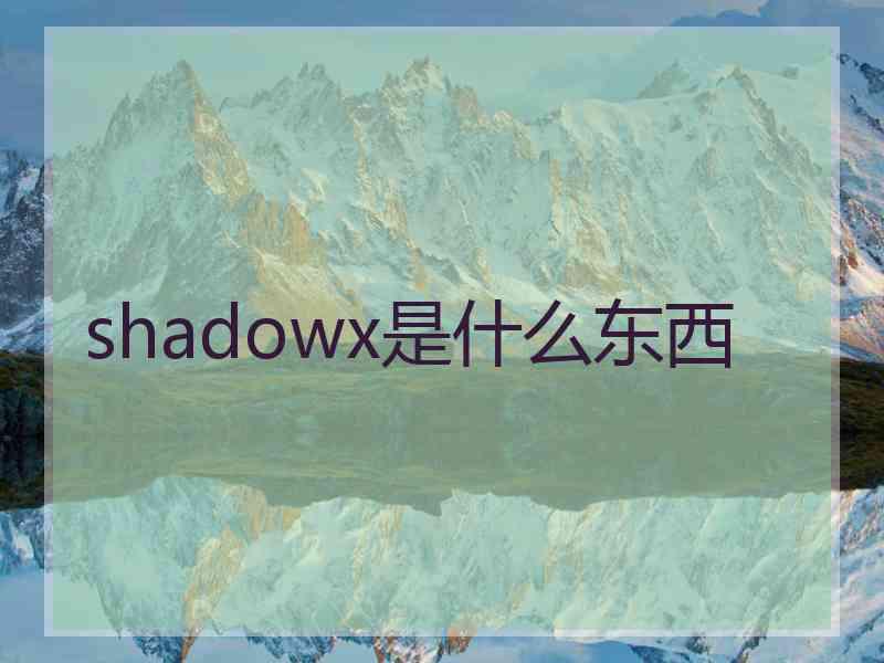 shadowx是什么东西
