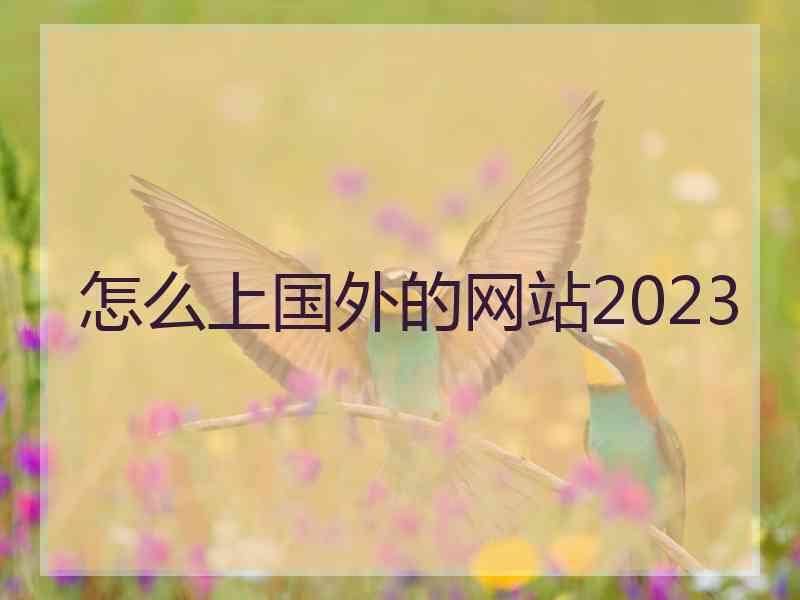 怎么上国外的网站2023