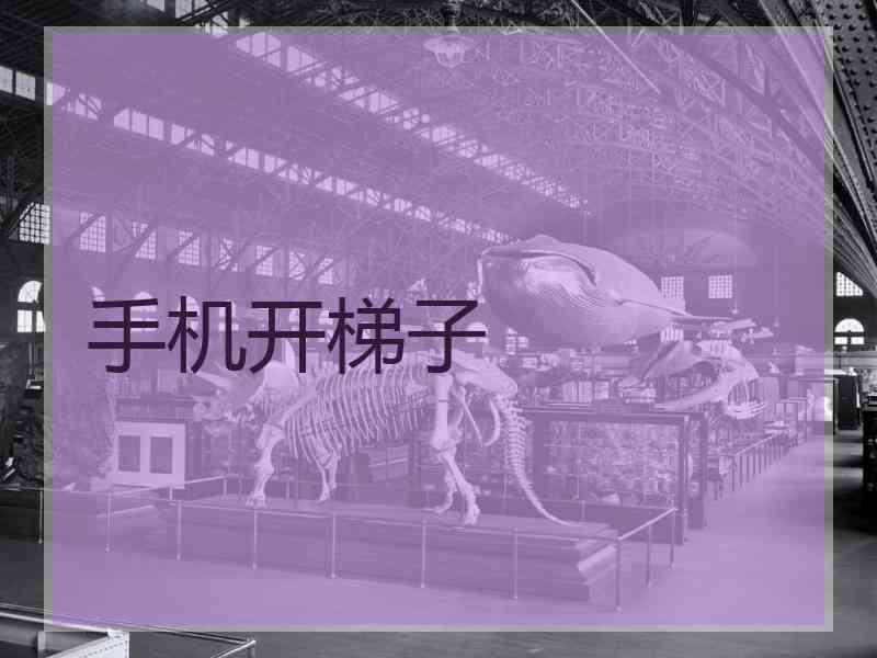 手机开梯子
