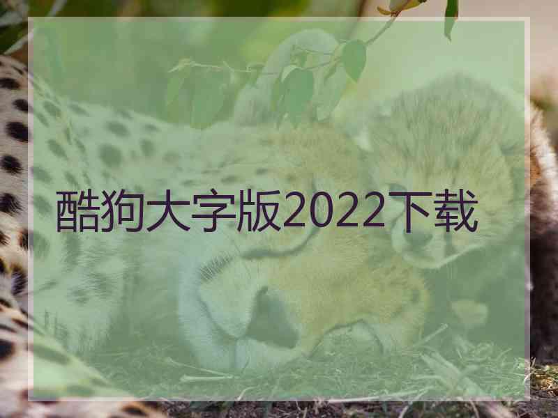 酷狗大字版2022下载