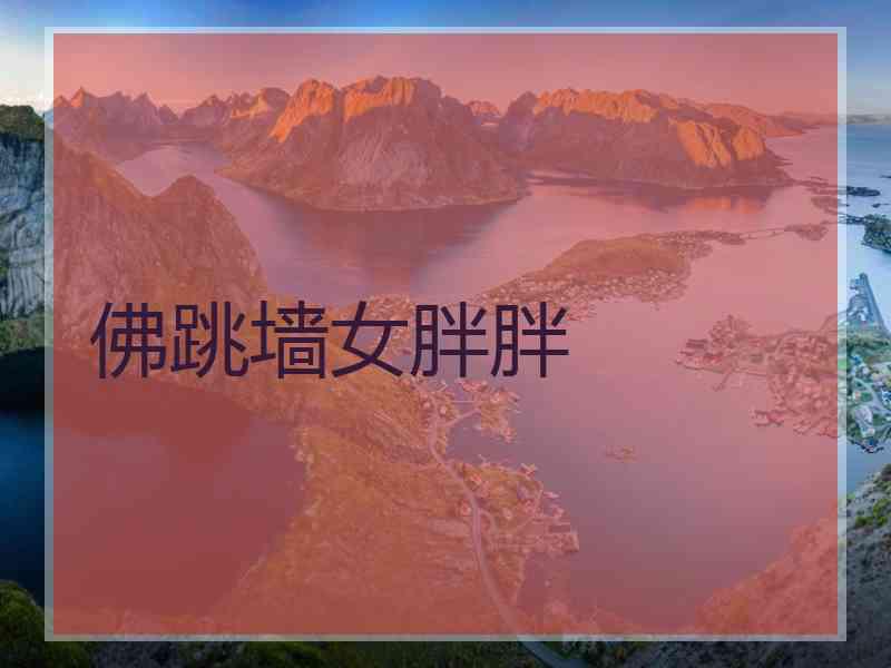 佛跳墙女胖胖