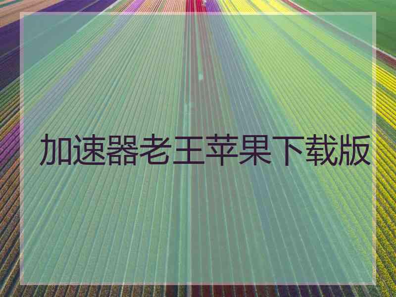 加速器老王苹果下载版