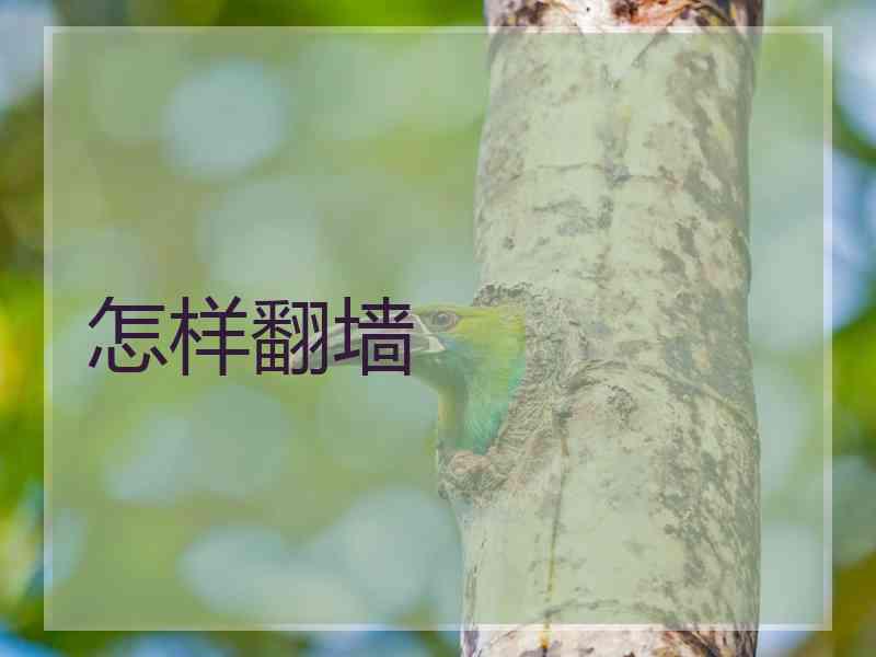 怎样翻墙