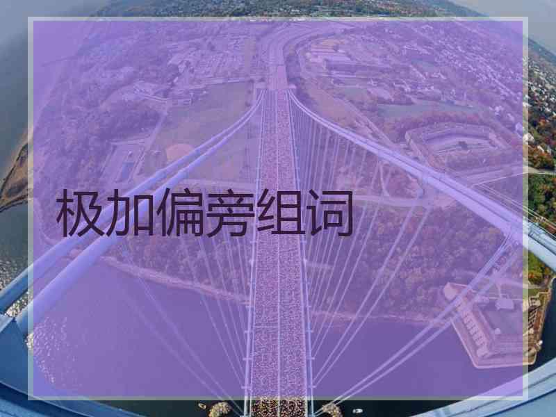 极加偏旁组词