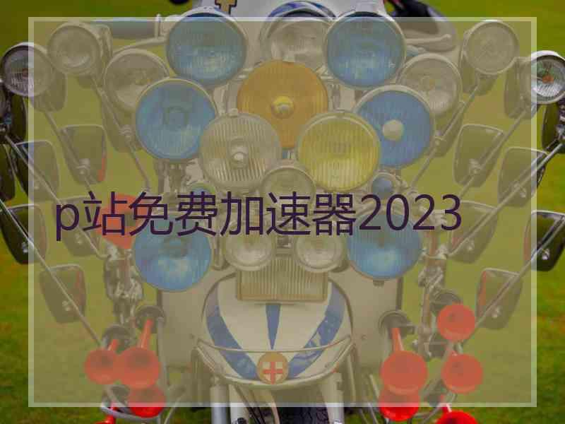 p站免费加速器2023