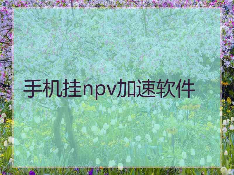 手机挂npv加速软件