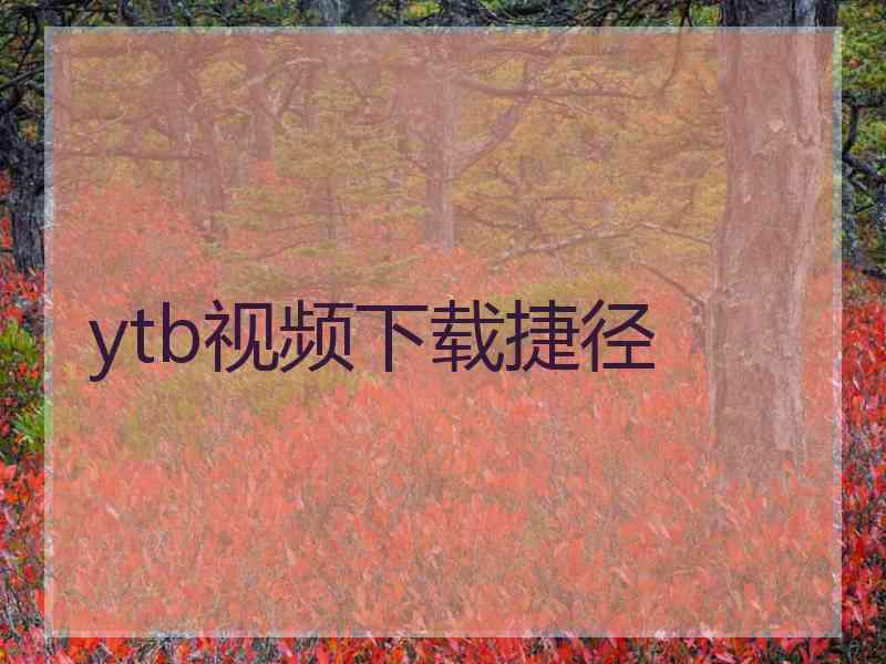 ytb视频下载捷径