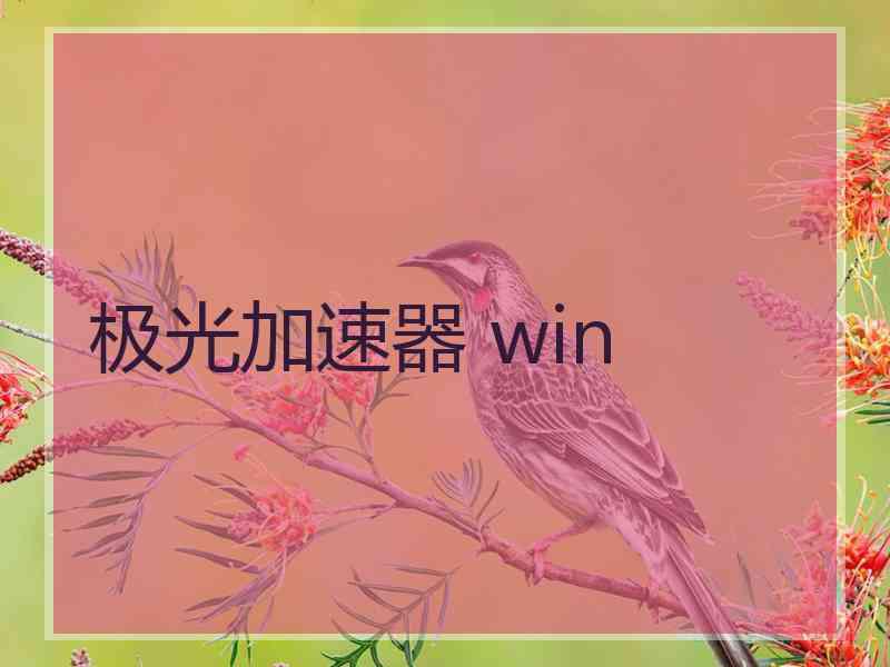 极光加速器 win