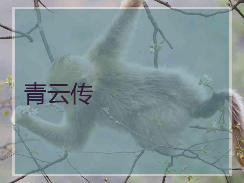 青云传