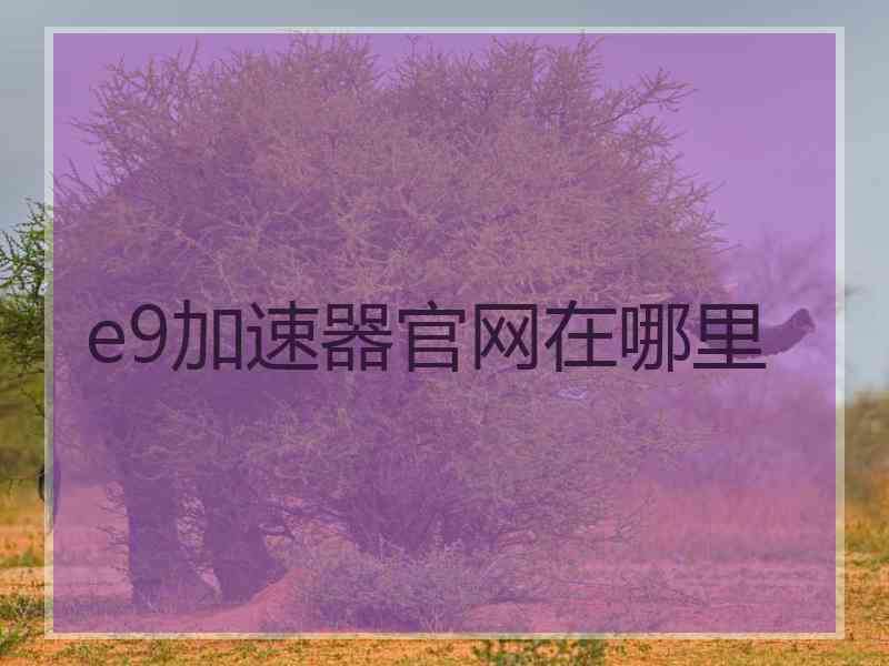 e9加速器官网在哪里