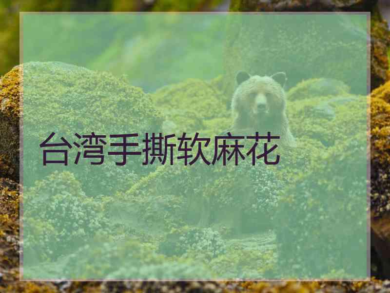 台湾手撕软麻花