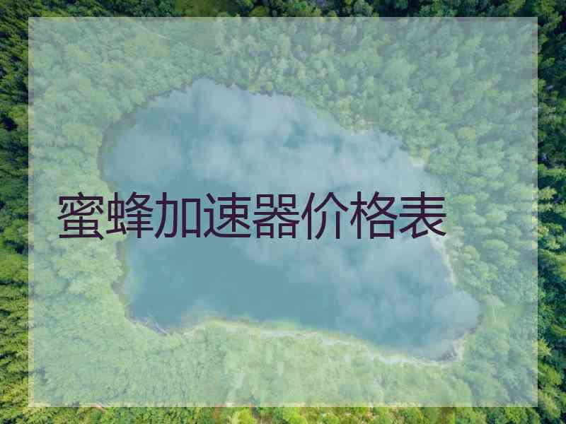 蜜蜂加速器价格表