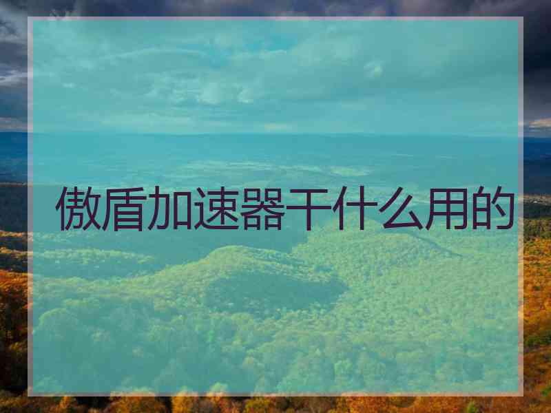 傲盾加速器干什么用的