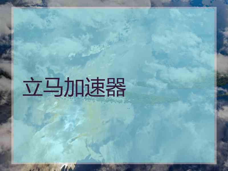 立马加速器