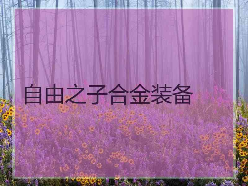 自由之子合金装备
