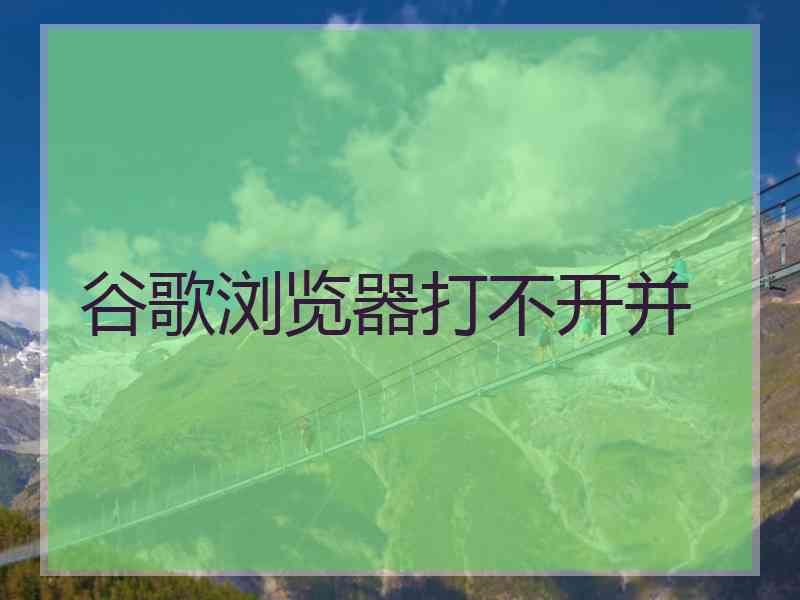 谷歌浏览器打不开并