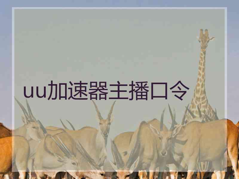 uu加速器主播口令