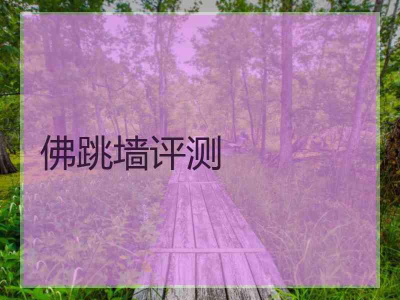 佛跳墙评测