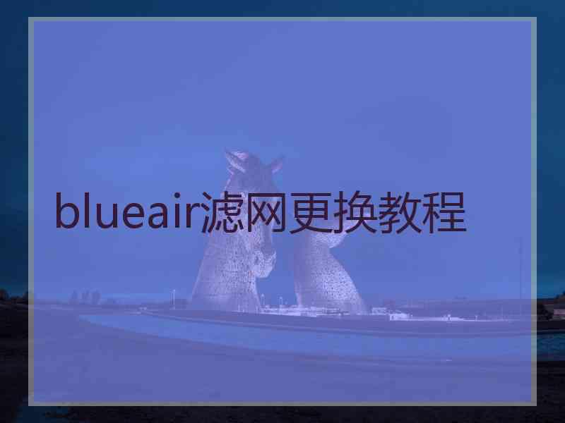 blueair滤网更换教程