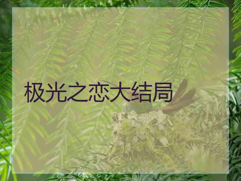 极光之恋大结局