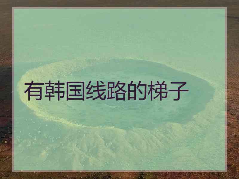 有韩国线路的梯子