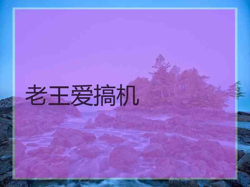 老王爱搞机
