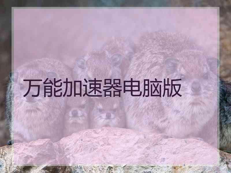 万能加速器电脑版