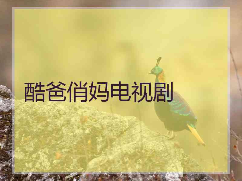 酷爸俏妈电视剧