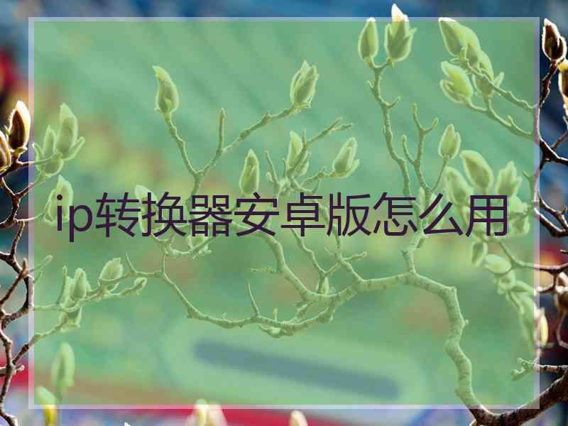 ip转换器安卓版怎么用
