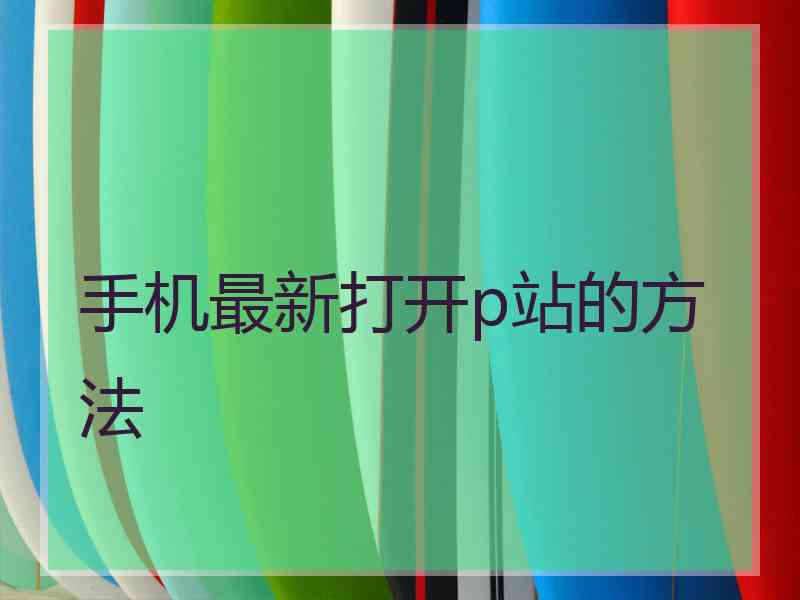 手机最新打开p站的方法